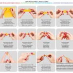 Imagine 1: Origami 3D – Creagami – Testoasa
