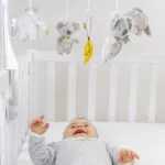 Imagine 2: Carusel muzical mobil, Koala si prietenii, Fehn