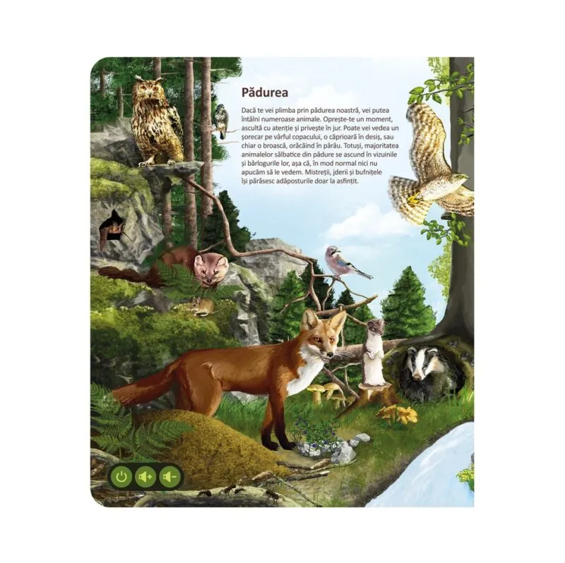 Raspundel Istetel carte Lumea animalelor 1