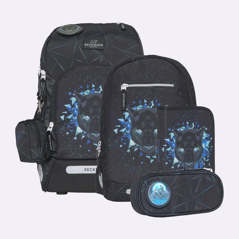 imagine:Ghiozdan, rucsac ergonomic cu perna de aer, set Active Air FLX 6 piese, Panther