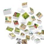 Puzzle Lumea dinozaurilor Hubelino (35 piese) - Puzzle Hubelino 2